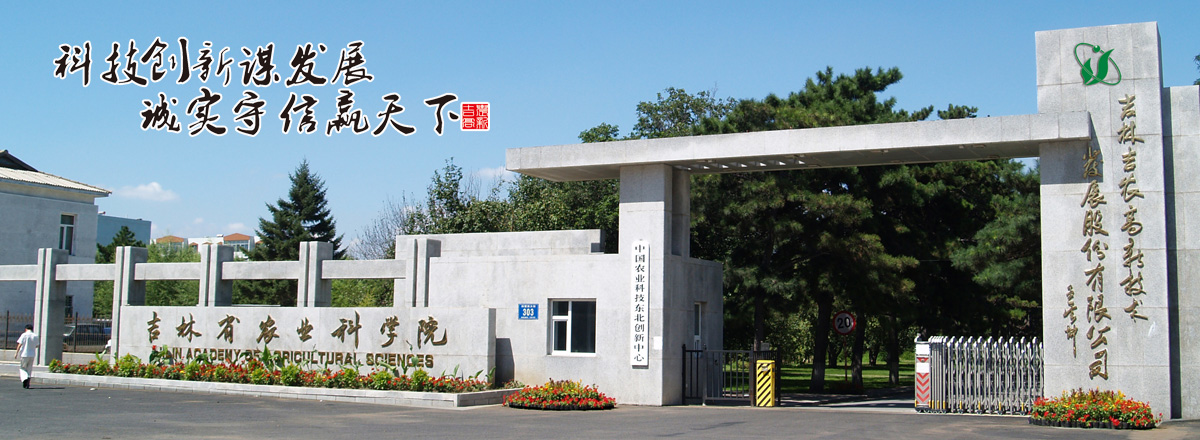 競爭優勢